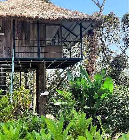 Апартаменты Noah'S Nest Tree House Теккади Экстерьер фото