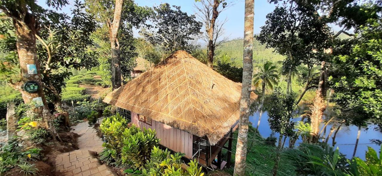Апартаменты Noah'S Nest Tree House Теккади Экстерьер фото