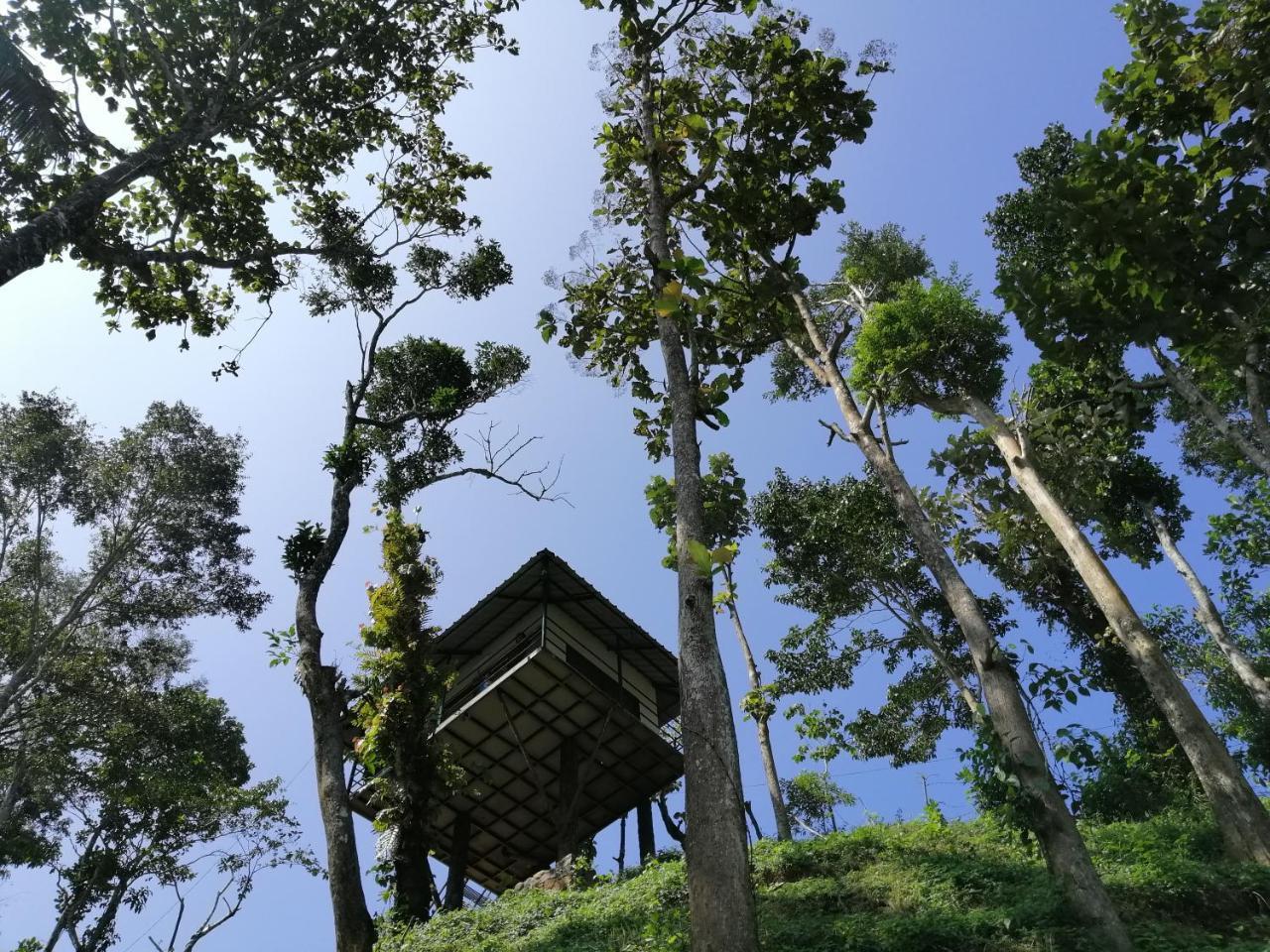 Апартаменты Noah'S Nest Tree House Теккади Экстерьер фото